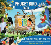 Phuket Bird Park