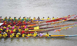 Boat Racing Festival