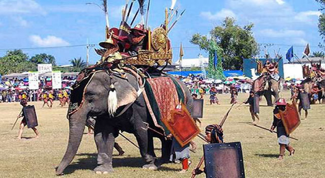 Elephant Festival