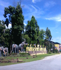 Elephant Conservation Center