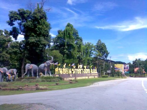 Elephant Camp