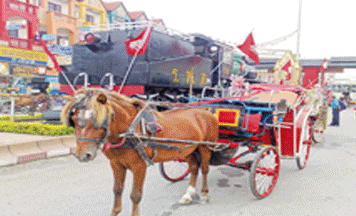 Lampang's Horse Wagon