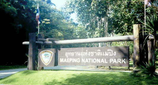 Mae Ping National Park