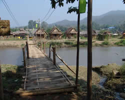 Huts in the Jungle