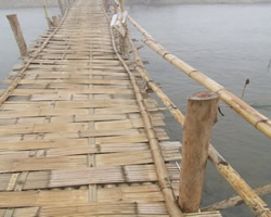 Bamboo Bridge