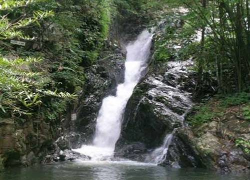 Wiang Go Sai