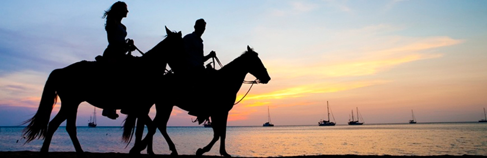 Horse Riding in Phuket
