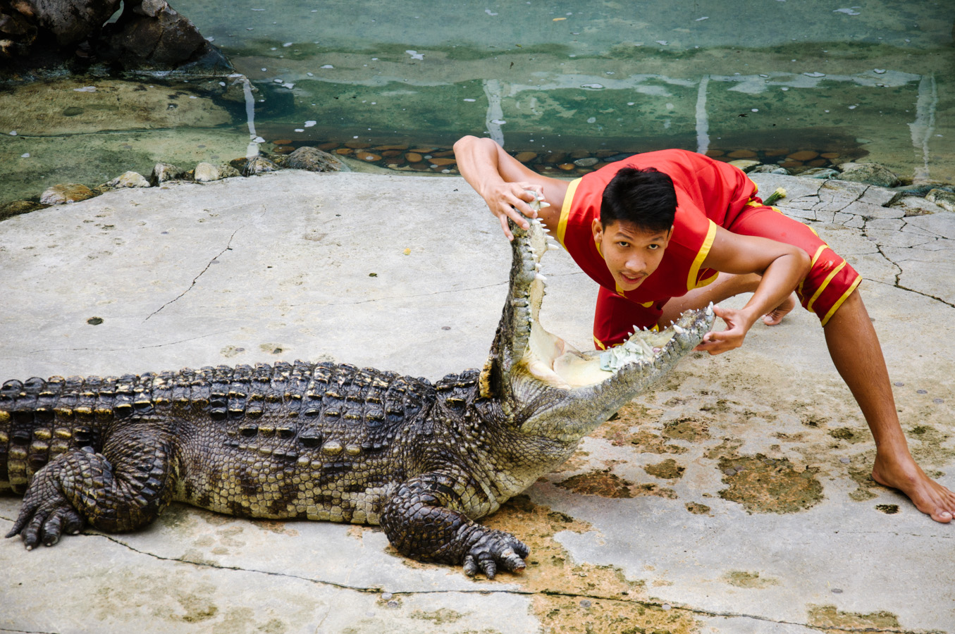 Samut Prakarn Crocodile Farm & Zoo