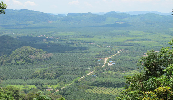 Phanom Bencha National Park