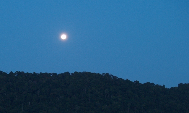 Fireflies watching on Koh Chang