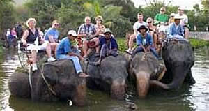 Hua Hin Elephant Village