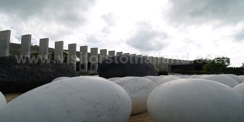 Big white turtle eggs Phuket Gateway