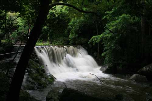 Huay Yang National Park